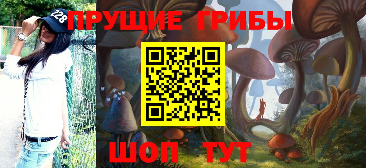 Псилоцибиновые грибы ЛСД Будённовск