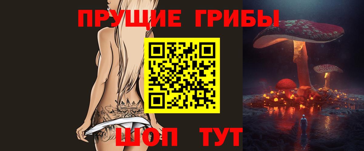 Будённовск  Галлюциногенные грибы прущие грибы  Вход с VPN 