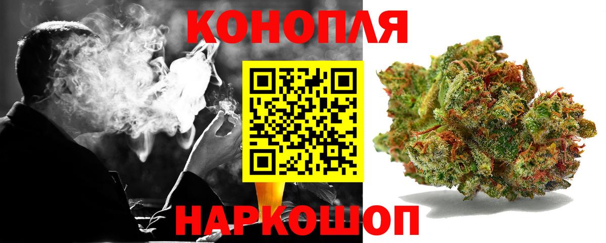 Каннабис тримм  Вход с VPN  Будённовск  Бошки марихуана сатива 